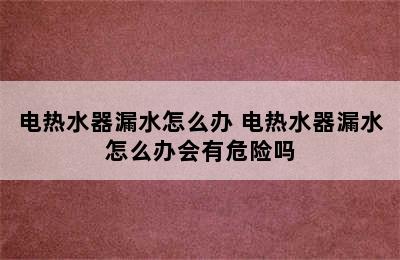 电热水器漏水怎么办 电热水器漏水怎么办会有危险吗